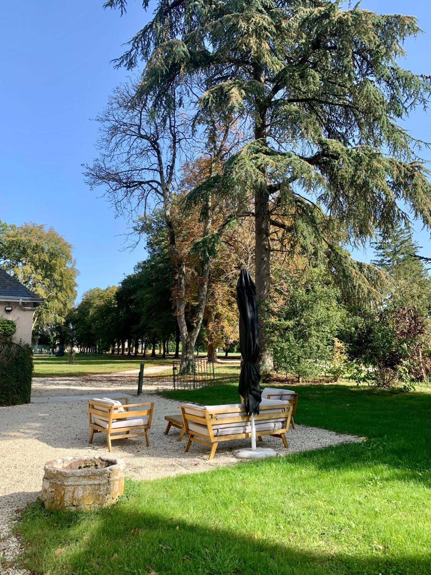 Chateau De L'Epinay - Domaine Du Marquis De Lafayette Dolus-le-Sec Dış mekan fotoğraf